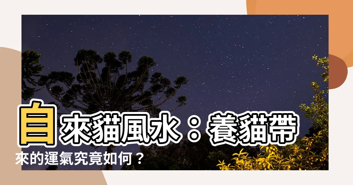 【自來貓風水】自來貓風水：養貓帶來的運氣究竟如何？