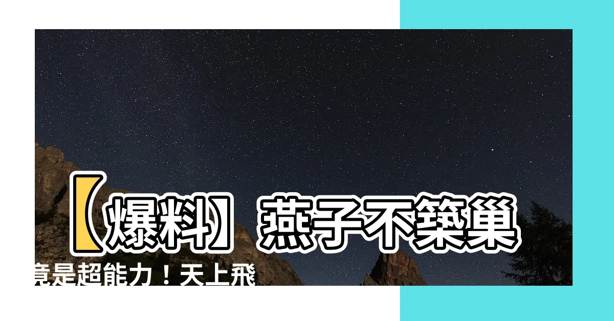 【燕子不築巢】【爆料】燕子不築巢竟是超能力！天上飛的是什麼？！