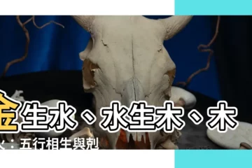 【金生水 水生木 木生火 火生土 土生金】金生水、水生木、木生火：五行相生與剋制大解密