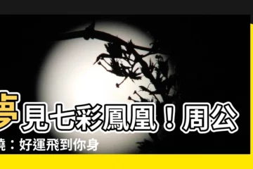 【夢見七彩鳳凰】夢見七彩鳳凰！周公揭曉：好運飛到你身邊！