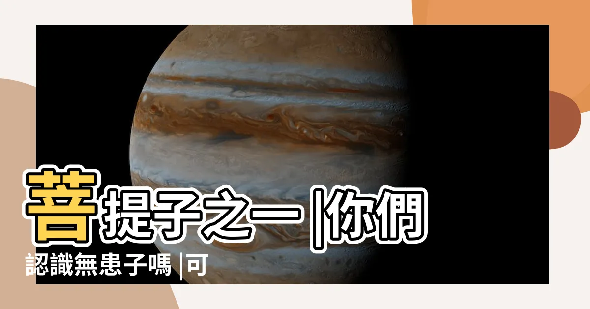 【無患子手串功效】菩提子之一 |你們認識無患子嗎 |可以用來做菩提手串 |