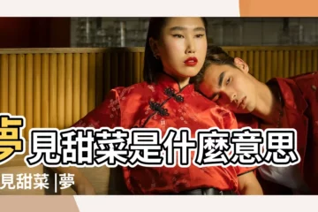 【周公解夢夢到甜菜】夢見甜菜是什麼意思 |夢見甜菜 |夢見甜菜 |