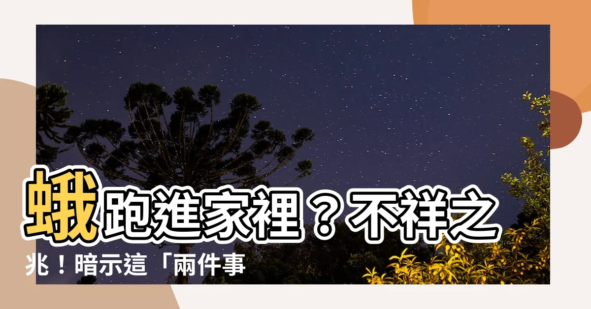 【蛾跑進家裡】蛾跑進家裡？不祥之兆！暗示這「兩件事」可能會發生