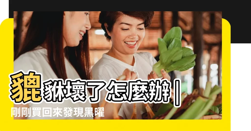 貔貅壞了怎麼辦 |剛剛買回來發現黑曜石貔貅鼻子破了一點退貨又麻煩可 |貔貅摔壞了怎麼處理 |【買回來的貔貅鼻子壞了】