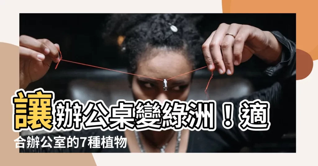 【辦公桌植物】讓辦公桌變綠洲！適合辦公室的7種植物推薦，提升心情超有感