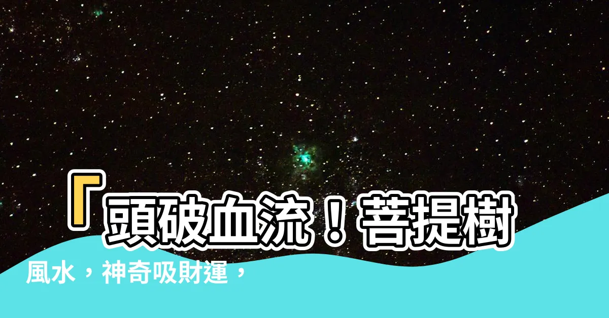 【菩提樹風水】「頭破血流！菩提樹風水，神奇吸財運，帶你捲走鉅富！」
