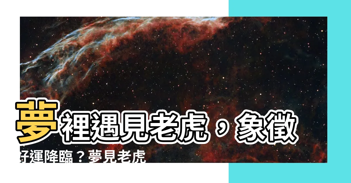 【夢見老虎】夢裡遇見老虎，象徵好運降臨？夢見老虎的 5 個夢境解析