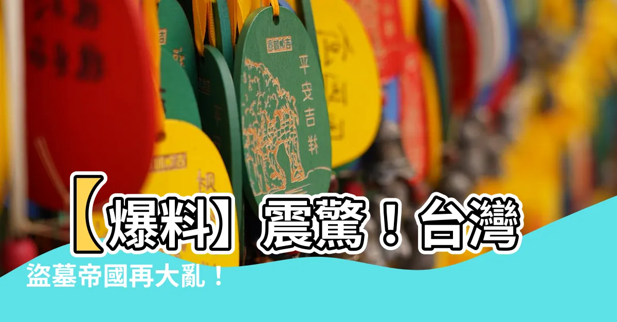 【台灣盜墓】【爆料】震驚！台灣盜墓帝國再大亂！