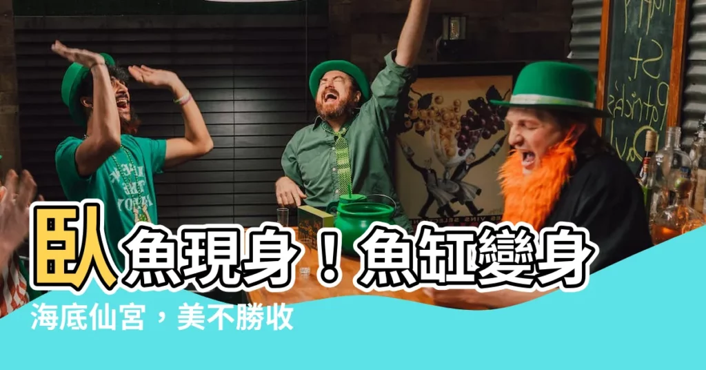 【卧魚】卧魚現身!魚缸變身海底仙宮,美不勝收