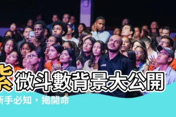 【紫微鬥數背景】紫微鬥數背景大公開！新手必知，揭開命理奇書的神秘面紗