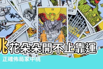【家中桃花位】桃花朵朵開不止靠運氣！正確佈局家中桃花位，助你招桃花、旺人緣