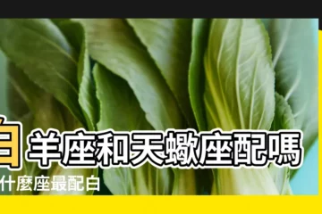 【射手座白羊座天蠍座女生配嗎】白羊座和天蠍座配嗎 |跟什麼座最配白羊呢 |星座組合越吵感情越甜蜜 |