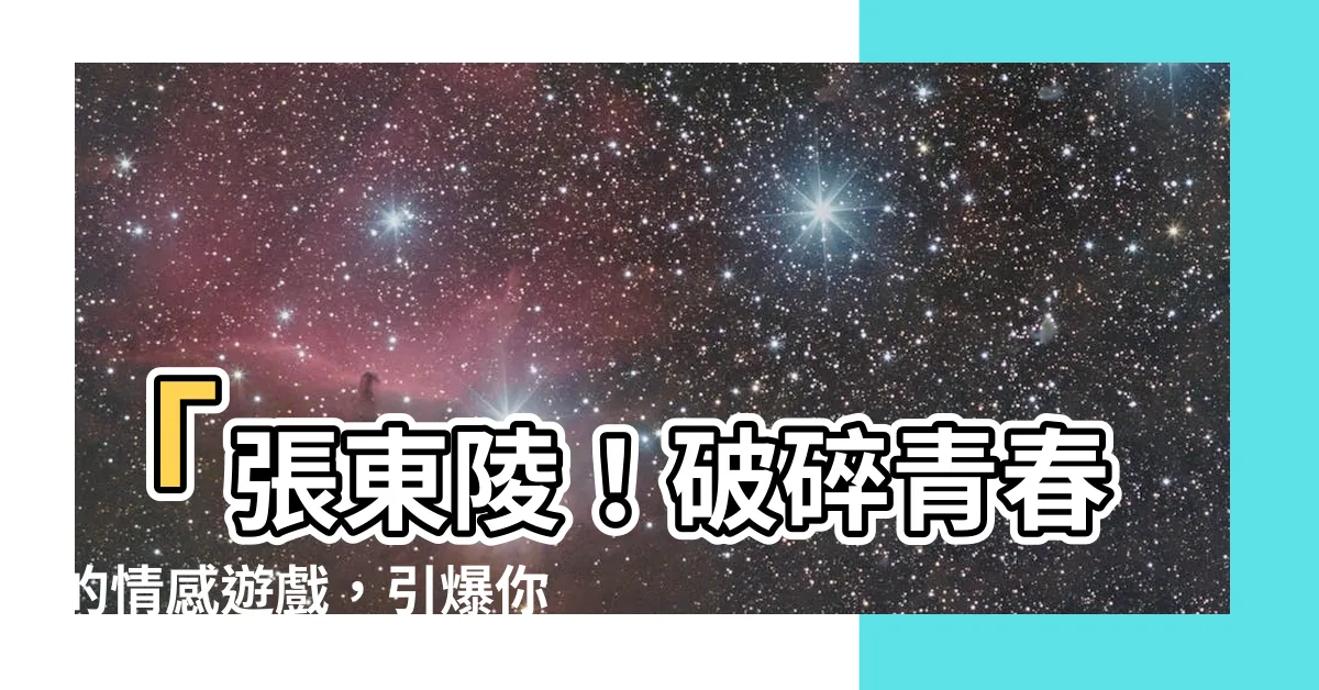 【張東陵】「張東陵！破碎青春的情感遊戲，引爆你的心靈！」