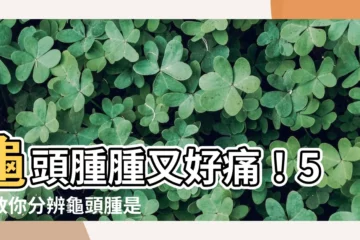【龜頭腫起來】龜頭腫腫又好痛！5招教你分辨龜頭腫是龜頭炎還是其他疾病！