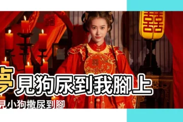 【孕婦夢見小狗在腳上撒尿】夢見狗尿到我腳上 |夢見小狗撒尿到腳上 |夢見小狗尿尿 |