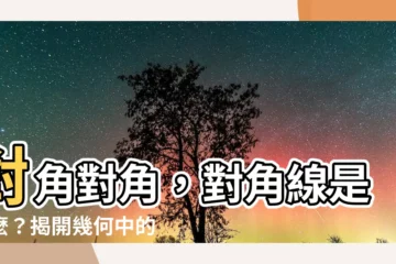 【對角是什麼】對角對角，對角線是什麼？揭開幾何中的神秘面紗！