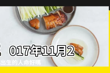 【2017年11月20日算命】2017年11月20日出生的人命好嗎 |農曆2017年11月20日生日算命 |是什麼命 |