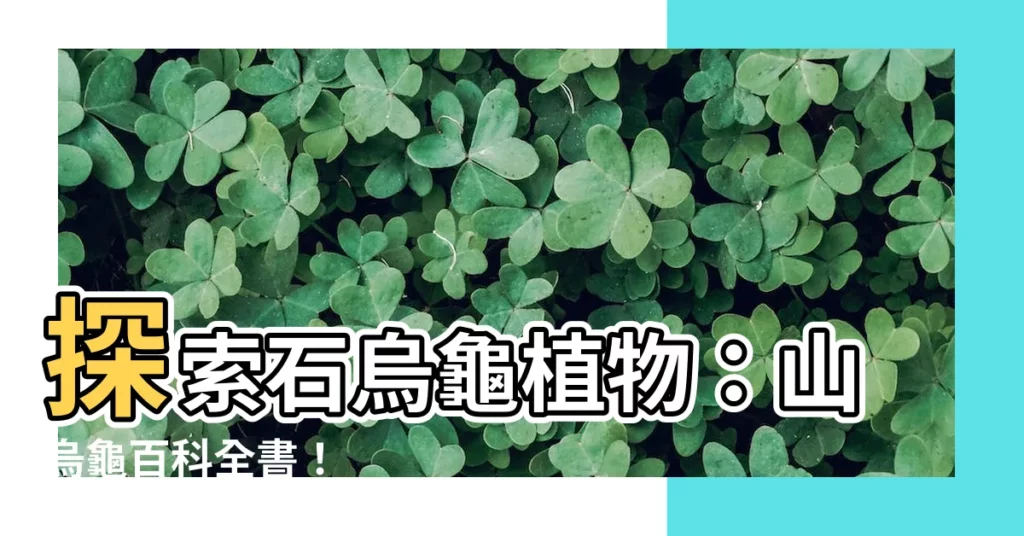 【石烏龜 植物】探索石烏龜植物：山烏龜百科全書！