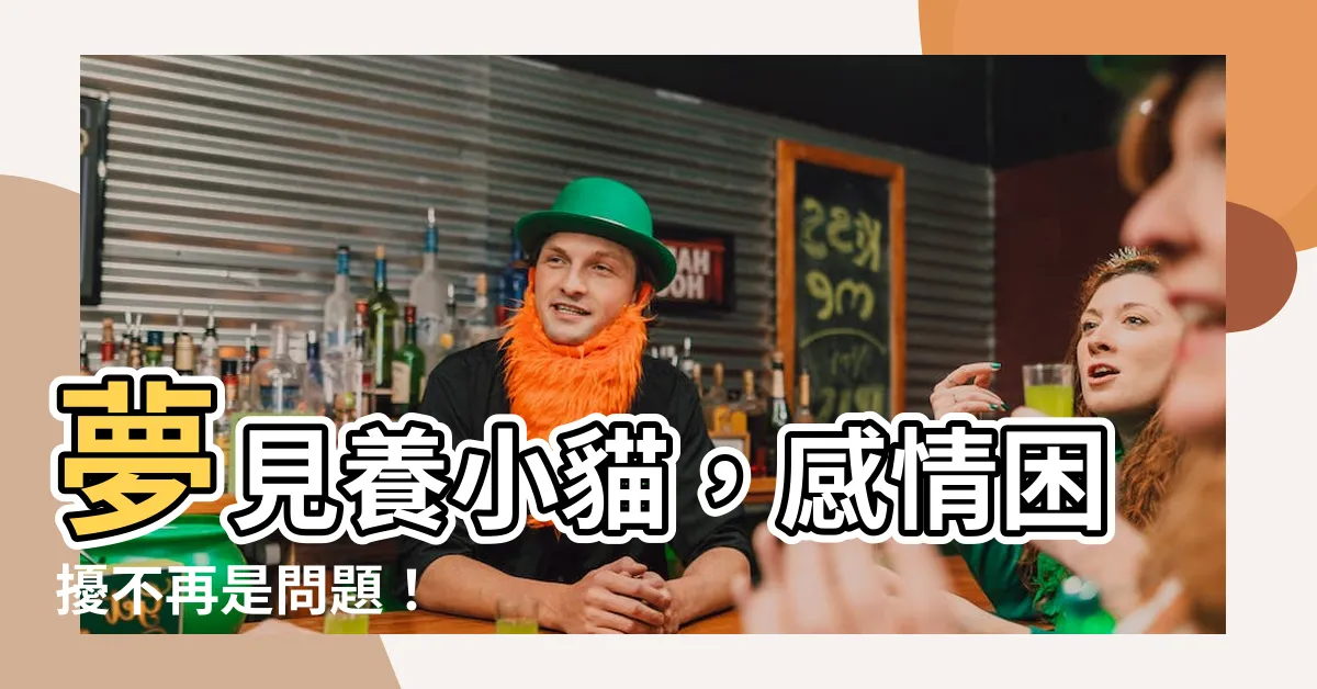 【夢見養小貓】夢見養小貓，感情困擾不再是問題！
