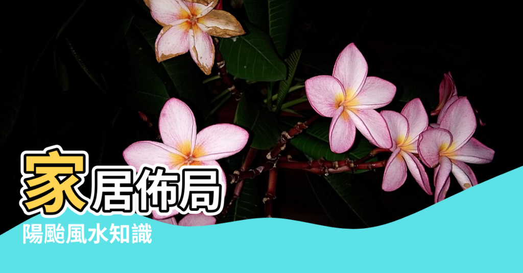 【西南方陽臺植物風水】家居佈局 |陽颱風水知識 |陽台種這些植物財運滾滾來 |