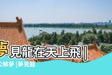 【夢到好多龍在天上飛】夢見龍在天上飛 |周公解夢 |夢見龍在天上飛 |