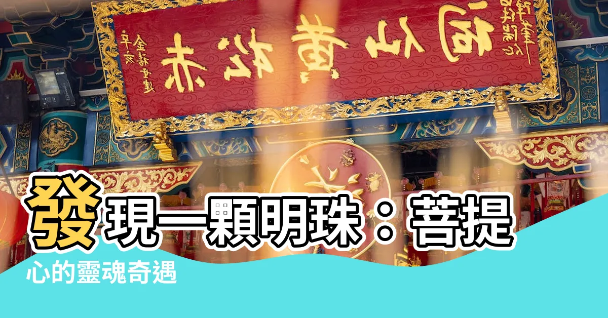 【一顆明珠】發現一顆明珠：菩提心的靈魂奇遇