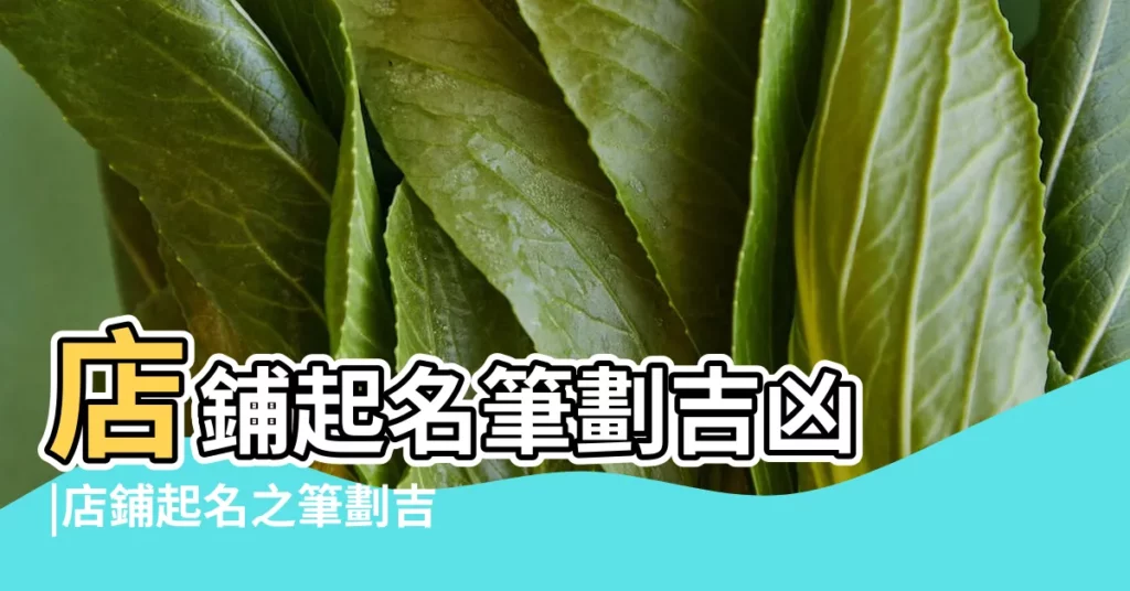 店鋪起名筆劃吉凶 |店鋪起名之筆劃吉凶對照表 |公司命名 |【店名數理吉數】