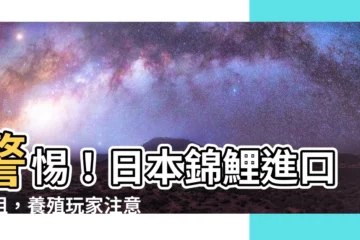 【日本錦鯉】警惕！日本錦鯉進口遇阻，養殖玩家注意！