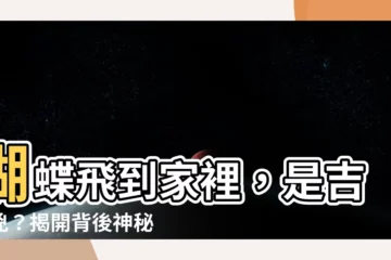 【蝴蝶飛到家裡】蝴蝶飛到家裡，是吉是兇？揭開背後神秘含義！