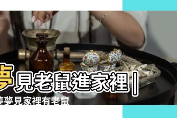 【夢見兩隻老鼠鑽進家裏】夢見老鼠進家裡 |做夢夢見家裡有老鼠好不好 |夢見老鼠進屋 |