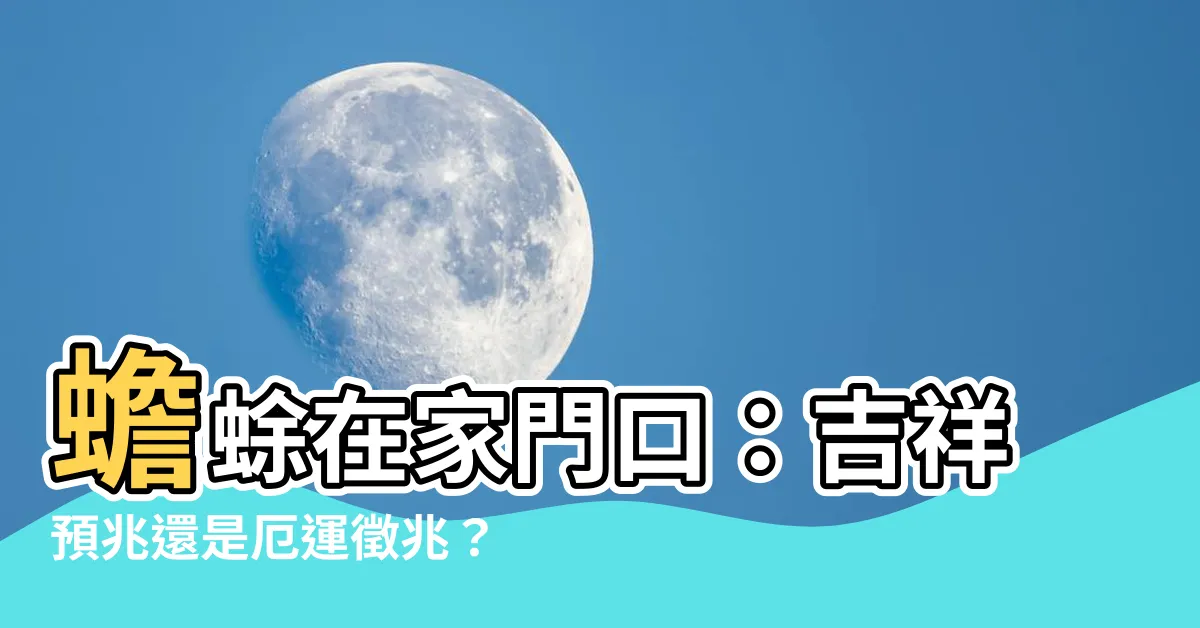 【蟾蜍在家門口】蟾蜍在家門口：吉祥預兆還是厄運徵兆？揭開背後玄機！