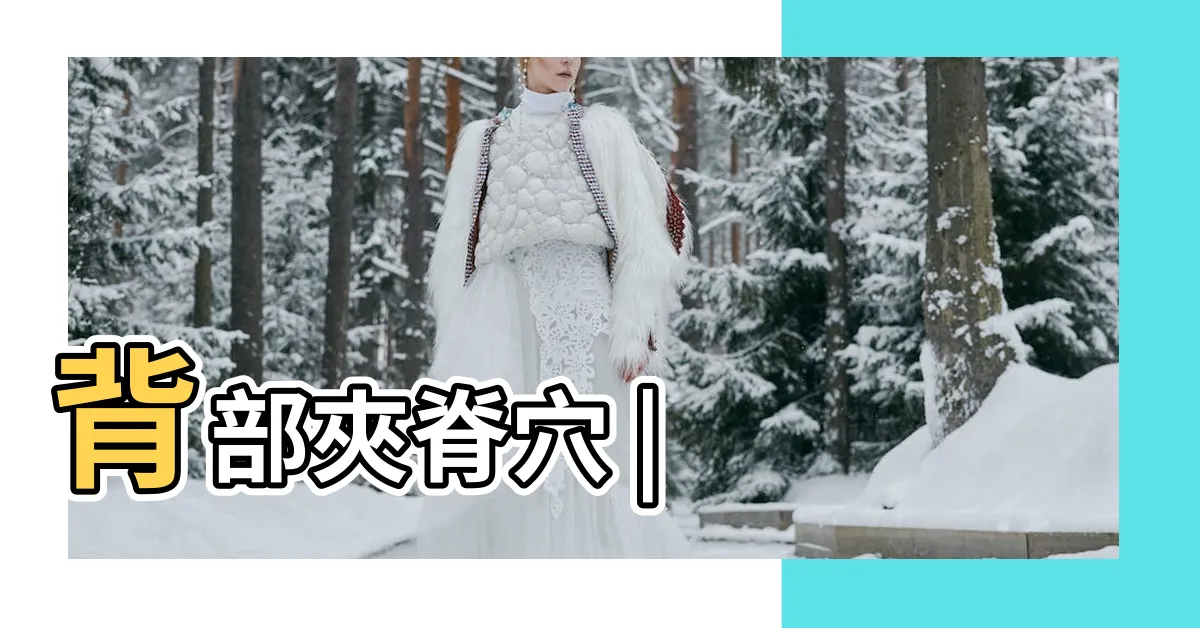 【背穴】背部夾脊穴 |