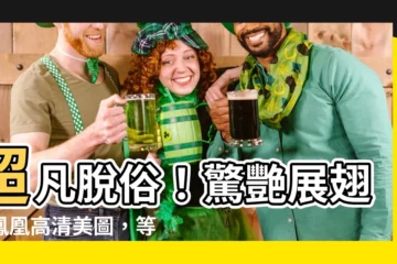 【鳳凰展翅圖】超凡脱俗！驚艷展翅的鳳凰高清美圖，等你來收藏