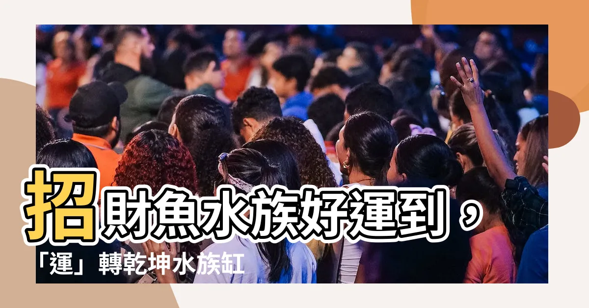 【招財 魚】招財魚水族好運到，「運」轉乾坤水族缸中藏！