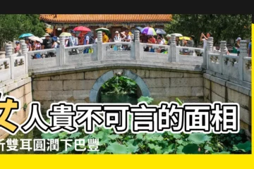 【什麼樣的是下巴豐滿】女人貴不可言的面相分析雙耳圓潤下巴豐滿 |下巴圓潤的人會長壽嗎 |長得有福相的女人面相下巴豐滿 |