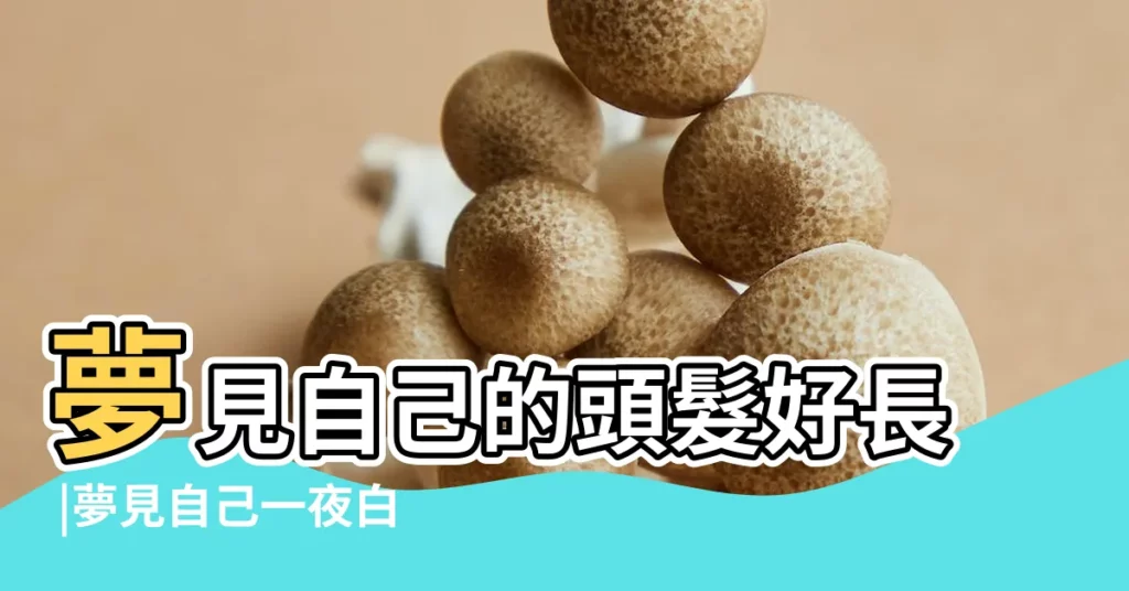 夢見自己的頭髮好長 |夢見自己一夜白了頭 |夢見頭髮 |【夢見自己有一根粗頭髮】