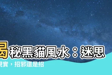【黑貓風水】揭秘黑貓風水：迷思與現實，招邪還是招財？