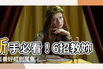 【紅劍尾魚】新手必看！6招教妳輕鬆養好紅劍尾魚，打造水族箱亮點