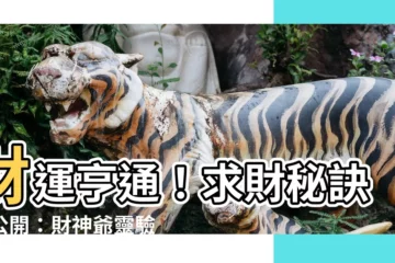 【求財怎麼説】財運亨通！求財秘訣大公開：財神爺靈驗拜法
