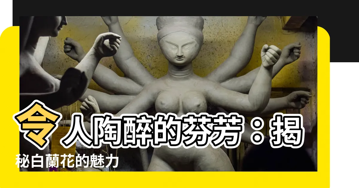 【白蘭花】令人陶醉的芬芳：揭秘白蘭花的魅力