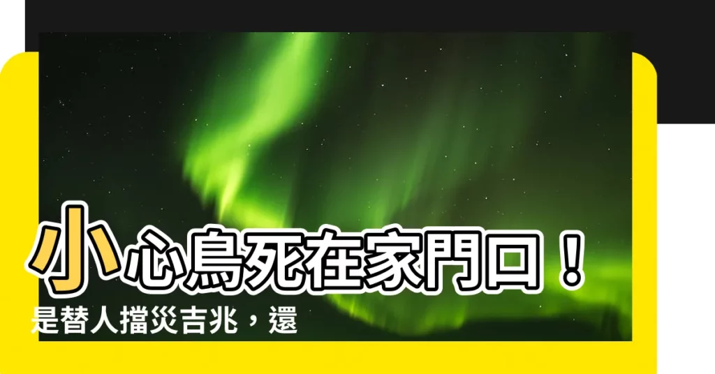【鳥死在家門口】小心鳥死在家門口！是替人擋災吉兆，還是凶兆？