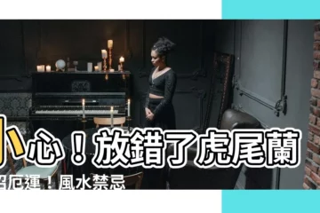 【風水禁忌虎尾蘭開花風水】小心！放錯了虎尾蘭恐招厄運！風水禁忌＆花開吉兆大公開