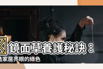 【鏡面草養護】🌱鏡面草養護秘訣：打造家居亮眼的綠色奇觀🌿