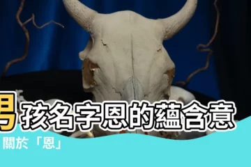 【名字恩的意思】男孩名字恩的藴含意義 | 關於「恩」字的解析
