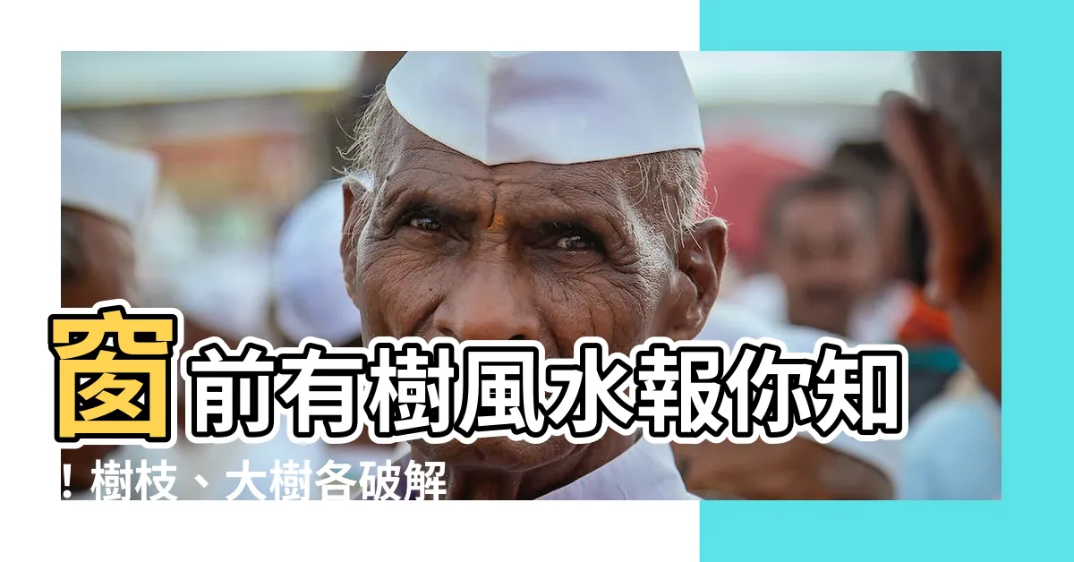 【窗前有樹風水】窗前有樹風水報你知！樹枝、大樹各破解法報給您