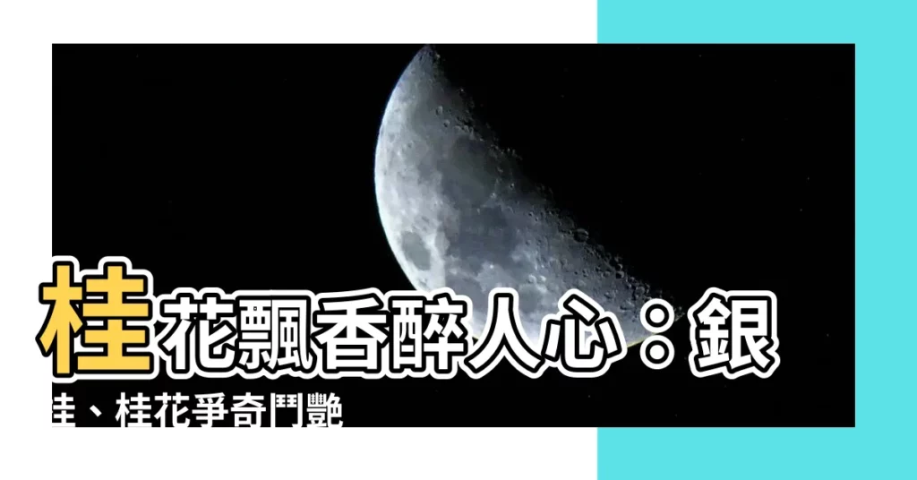 【銀桂 花】桂花飄香醉人心:銀桂、桂花爭奇鬥艷