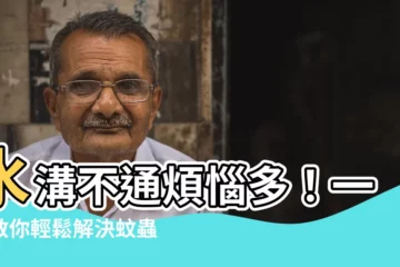 【水溝不通】水溝不通煩惱多！一招教你輕鬆解決蚊蟲困擾