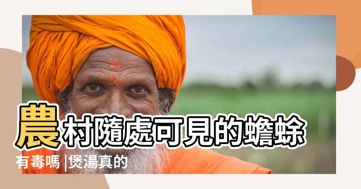 【蟾蜍哪裡有毒】農村隨處可見的蟾蜍有毒嗎 |煲湯真的能治病嗎 |台灣的蟾蜍科 |