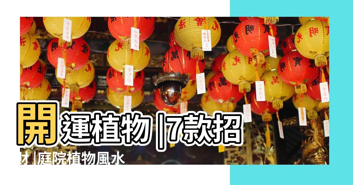 【荔枝樹 風水】開運植物 |7款招財 |庭院植物風水看這6點就夠了 |
