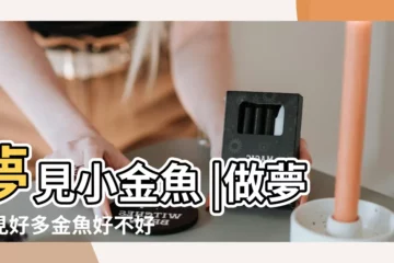 【女孩夢見一羣金魚】夢見小金魚 |做夢夢見好多金魚好不好 |女人夢見金魚是胎夢嗎 |